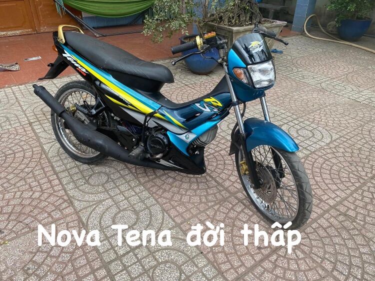 Yên Nova Tena đời thấp trước 98 Thailand