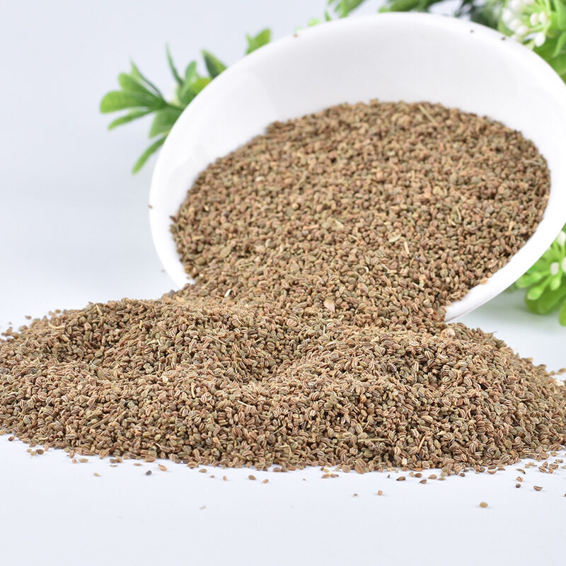 Gia vị hạt cần tây nguyên chất giảm acid uric gout đau xương khớp hạt cần tây