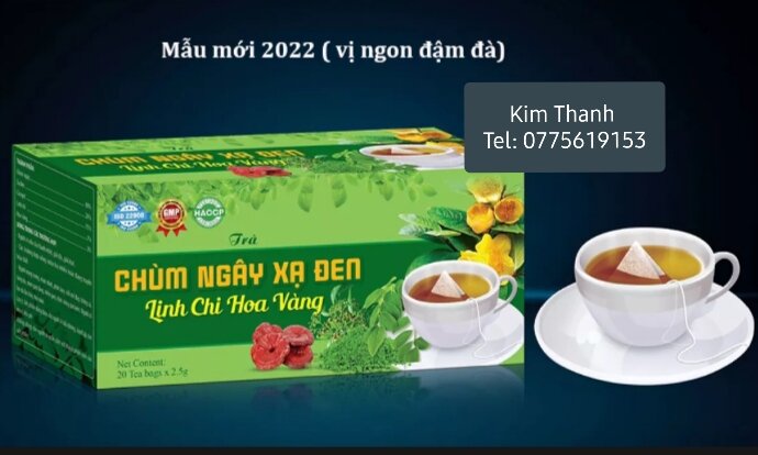 [HCM]Combo 5 hộp trà túi lọc chùm ngây