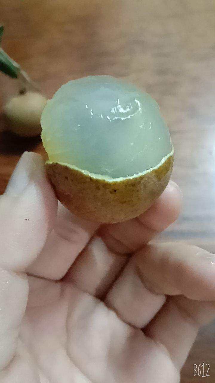 Nhãn xuồng cơm vàng bao ăn