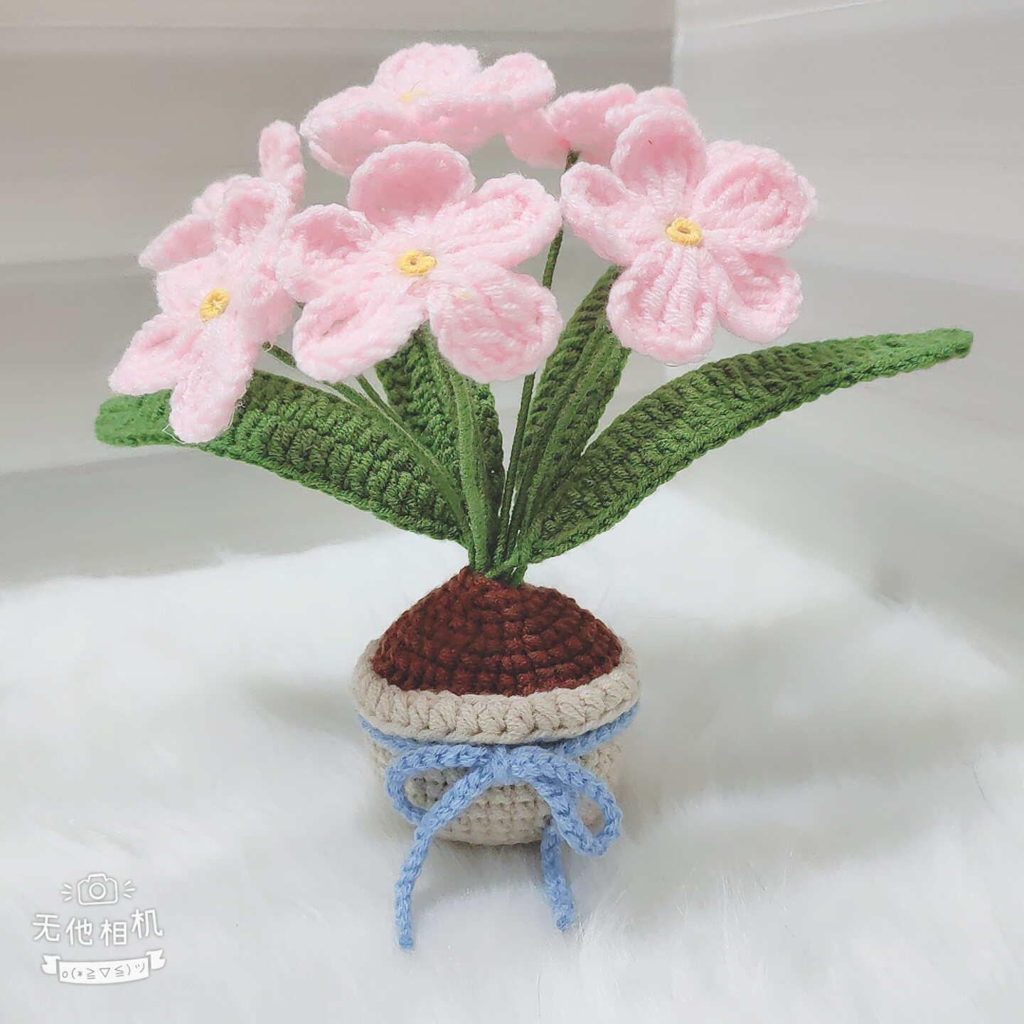 [Ảnh thật - Có sẵn] Chậu hoa lưu ly để bàn bằng len handmade