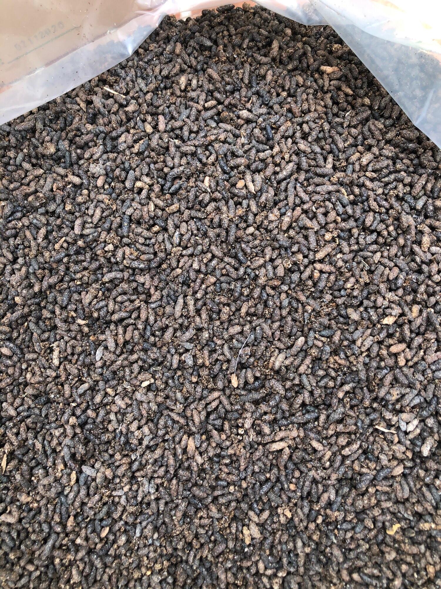 500gr phân dơi nguyên chất
