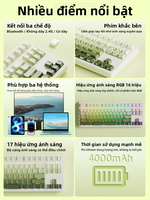 EWEADN | Bàn phím cơ TKL 87 phím, Keycap in cạnh bên (Side-printed), 3 chế độ, LED RGB, cho Nữ  Gaming