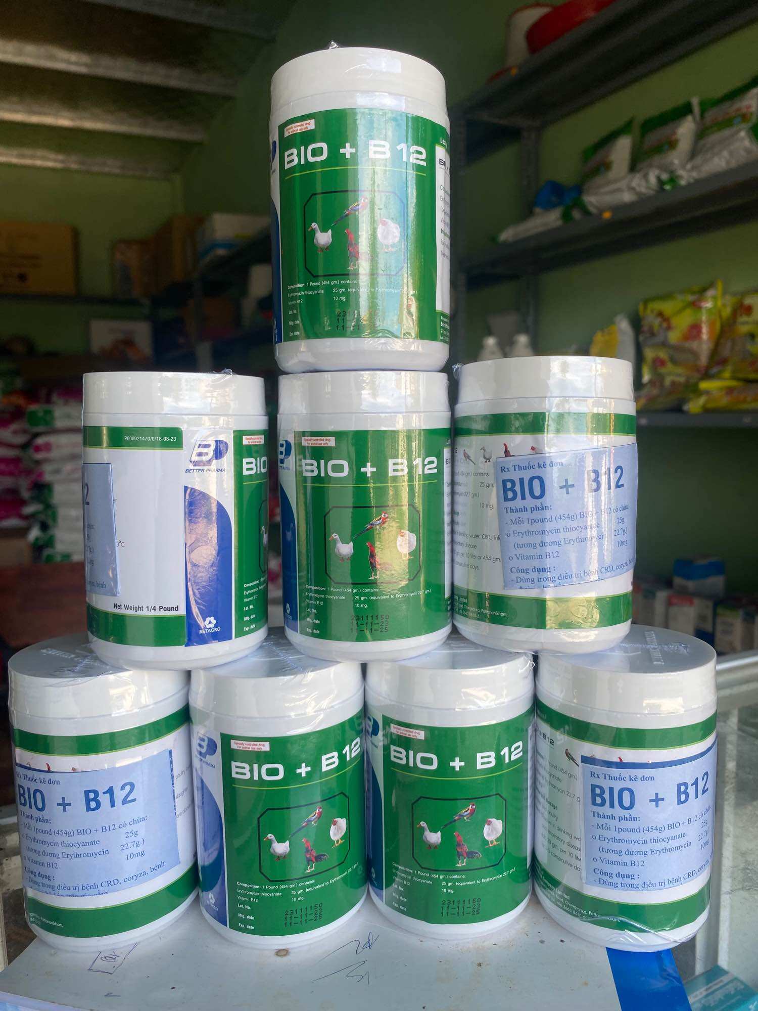 Bio B12 - ÚM GÀ CON, GÀ ĐÁ, CHIM CẢNH
