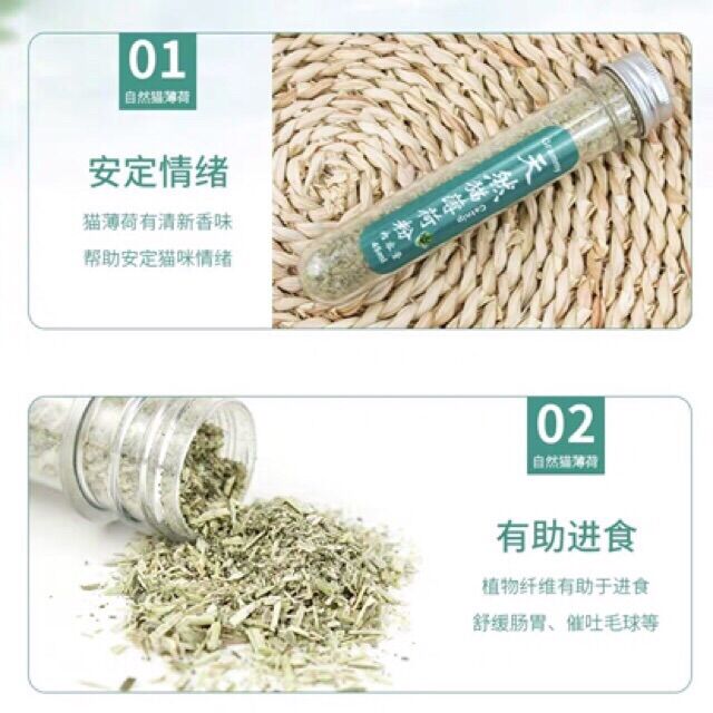 [HCM]Catnip/Catmin/ Cỏ bạc hà cho mèo