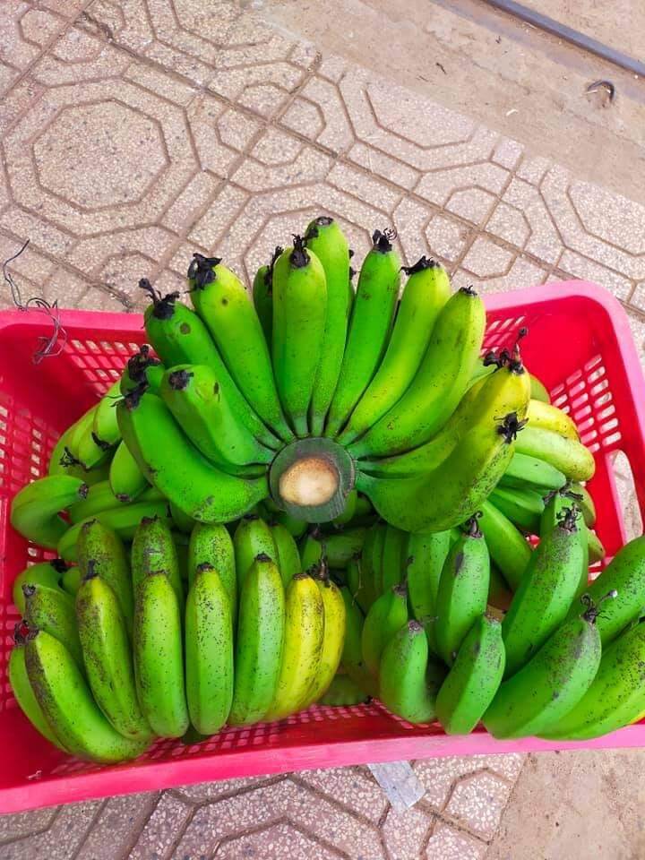 1 kg chuối Laba Đà Lạt