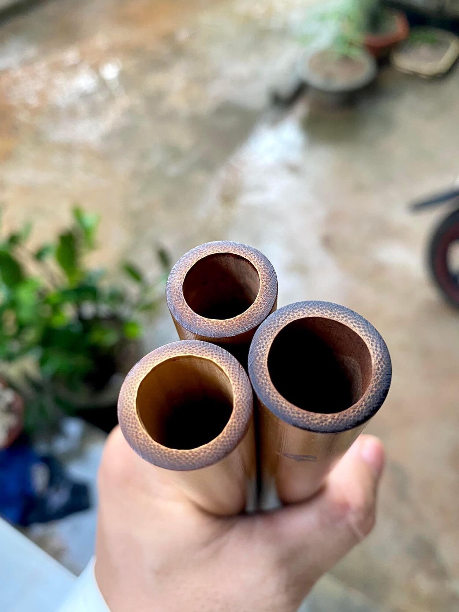 Sáo nứa hun
