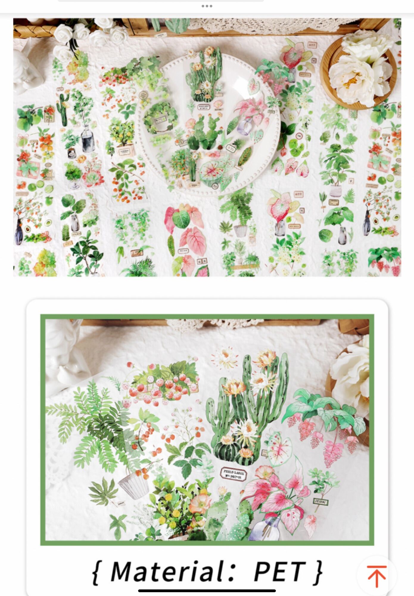 Set 6 tờ sticker hình hoa, lá , chậu cây, … dùng để trang trí. 