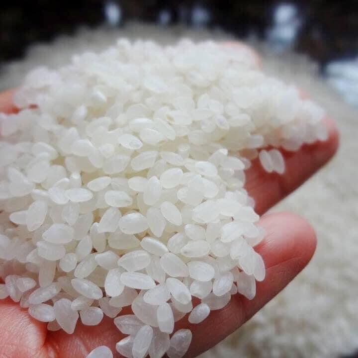 Gạo Iris Nhật Bản cho bé ăn dặm 300g