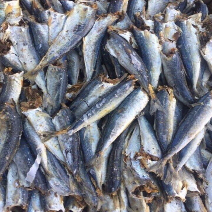 1kg cá nục khô xuất khẩu