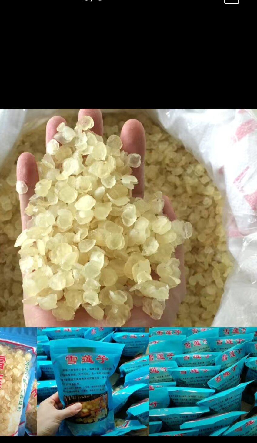 500g bồ mễ