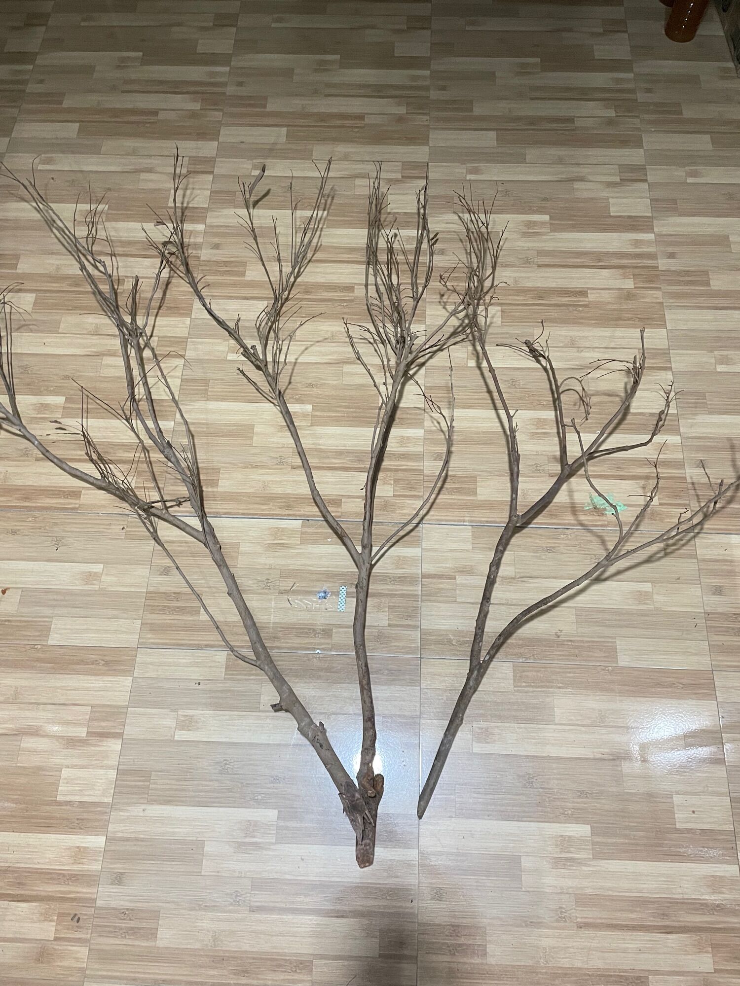 Cành củi trang trí (80cm-1m)