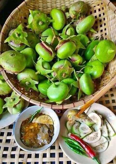 Trái bần miền tây