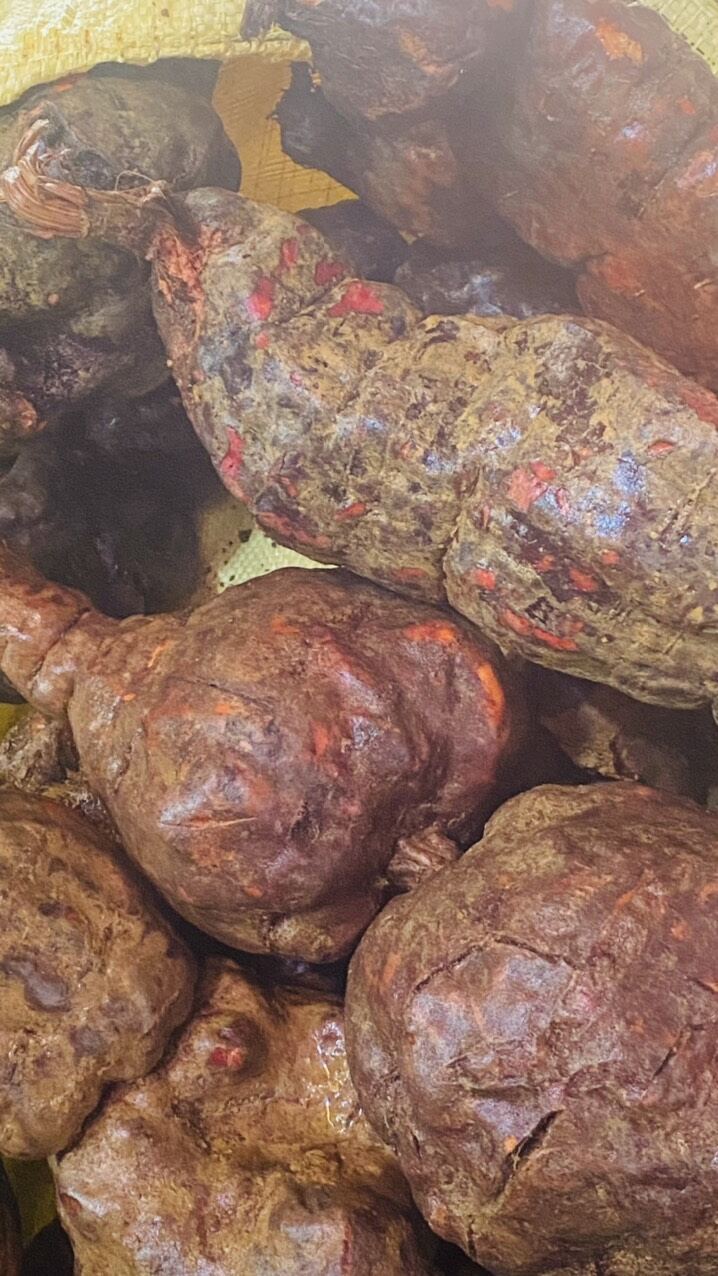 cao hà thủ ô lọ 200 gam