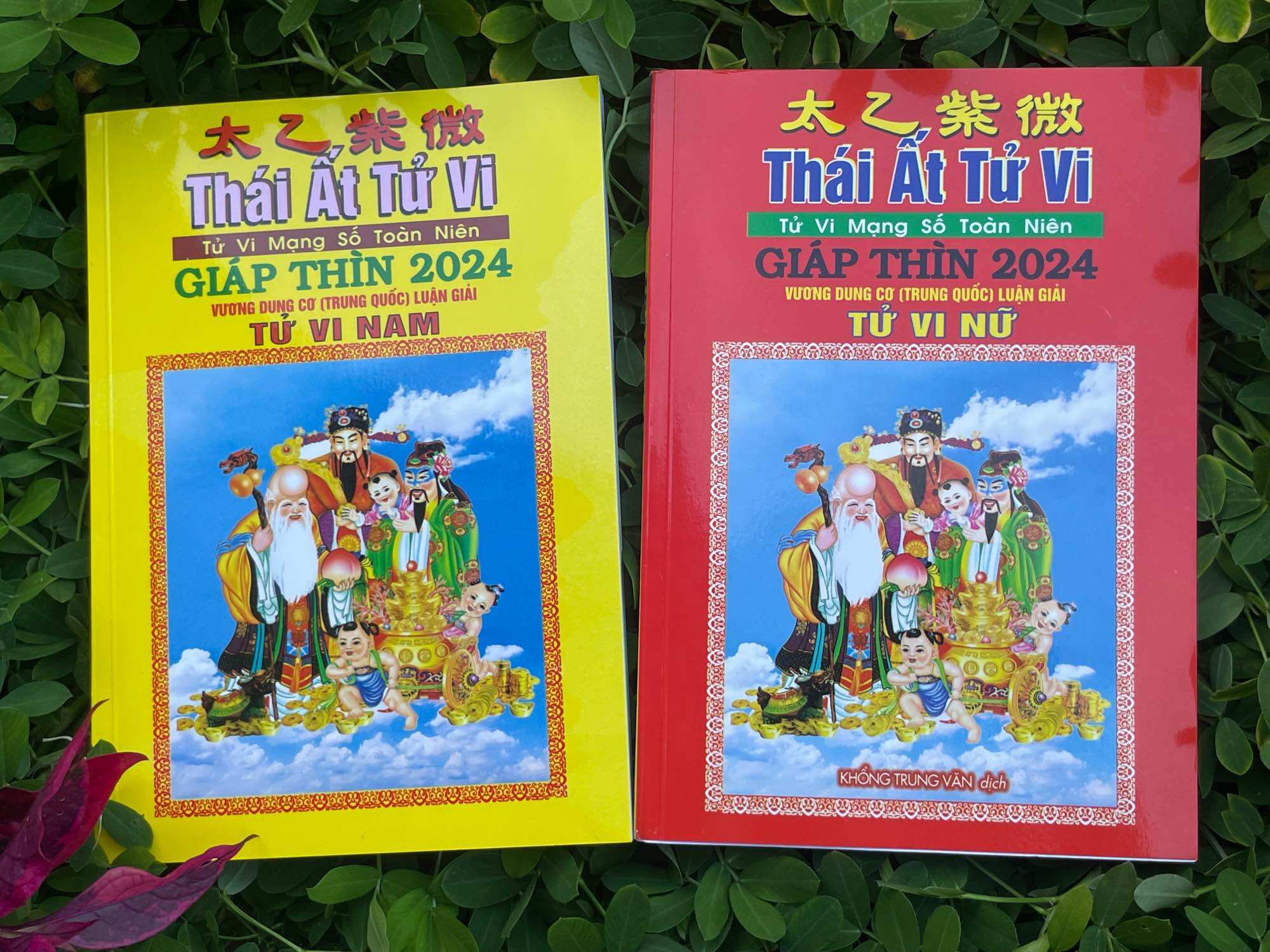 Thái ất tử vi toàn niên 2024