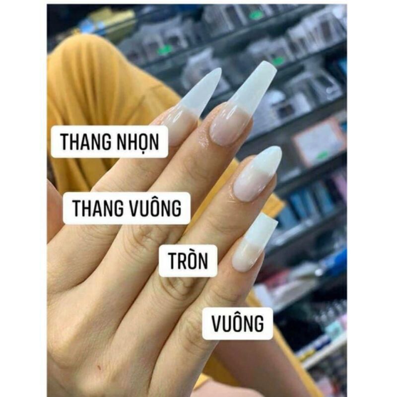 Móng úp HSM chuẩn form (hộp 500 móng)