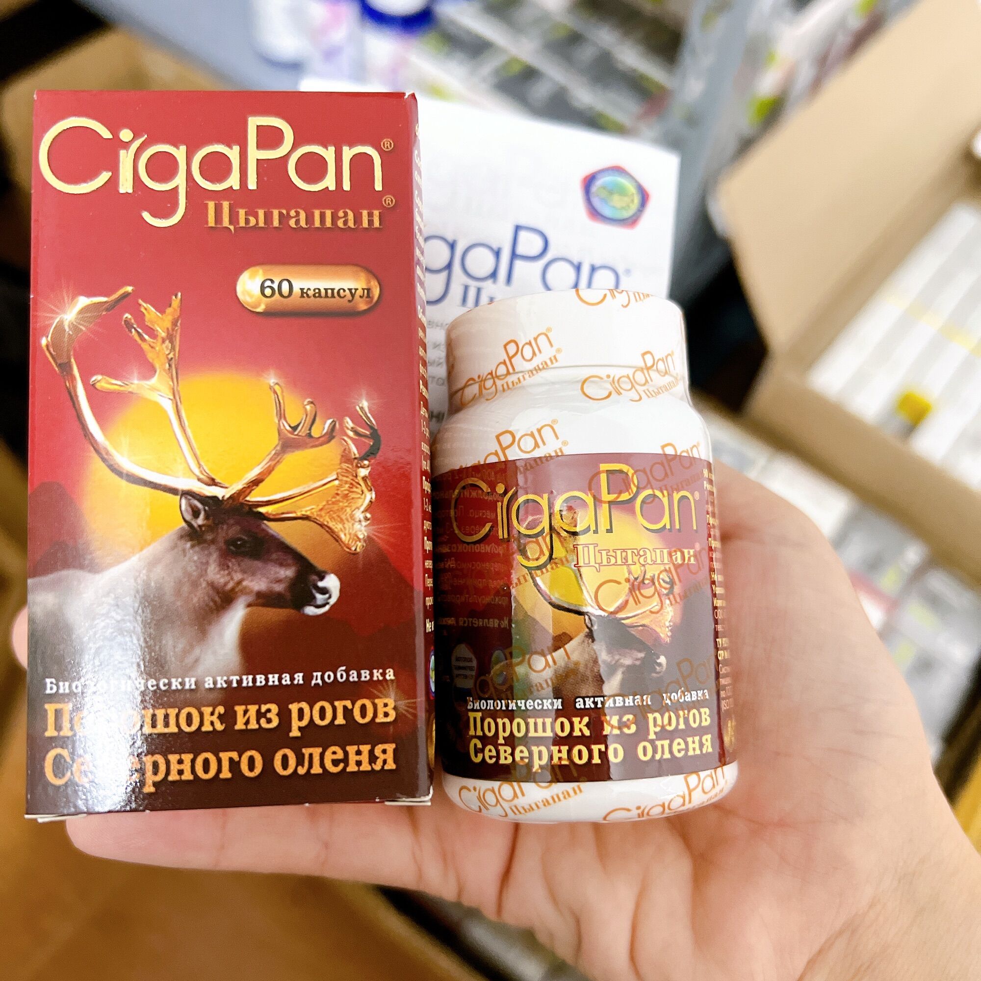 Nhung hươu Cigapan của Nga
