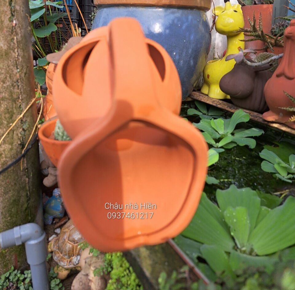 Chậu đất nung - Bình xẻ đặc biệt