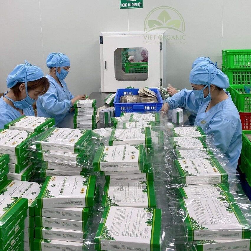 [TĂNG CÂN CHÍNH HÃNG] Sâm Bổ Kiện Thảo Mộc Nam