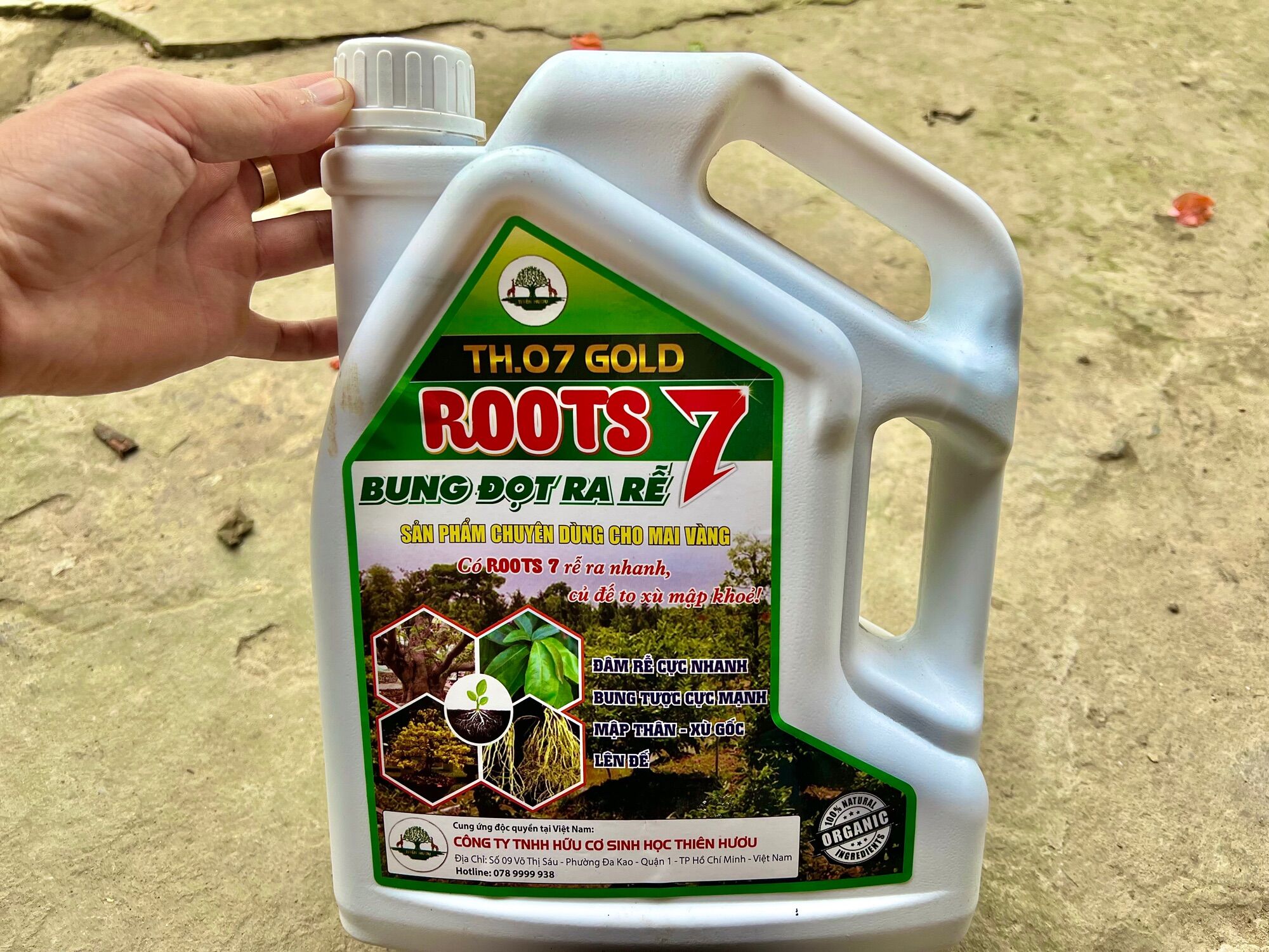 Phân bón roots 7 chuyên mai vàng bung chồi mập thân ra rễ cực mạnh