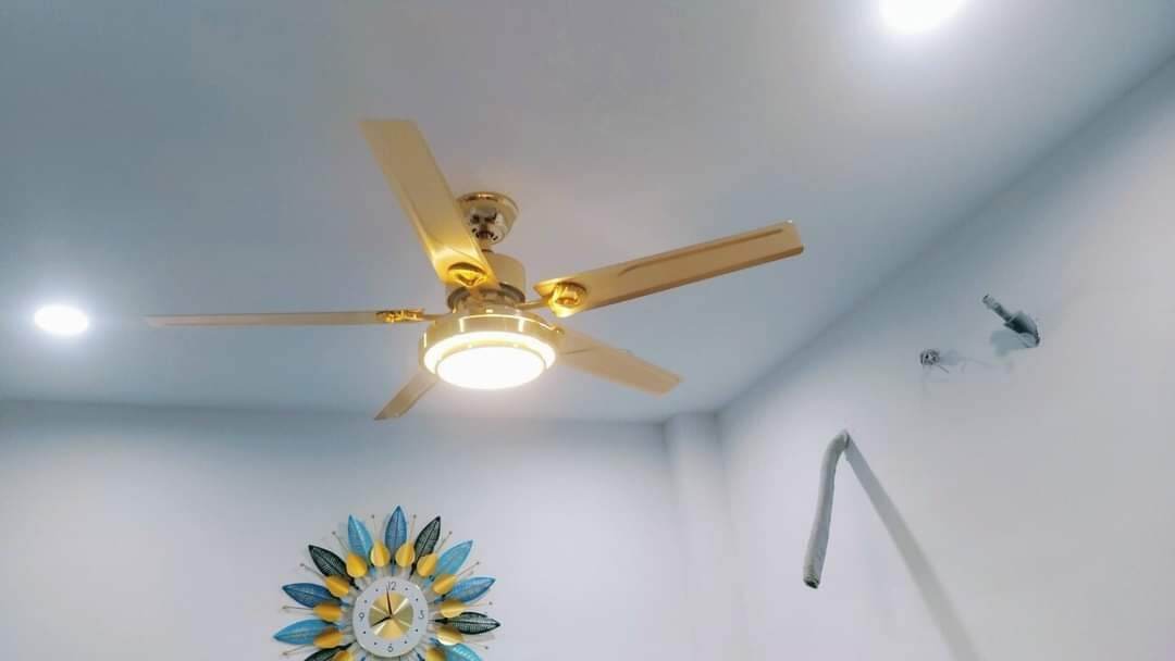 haku lighting