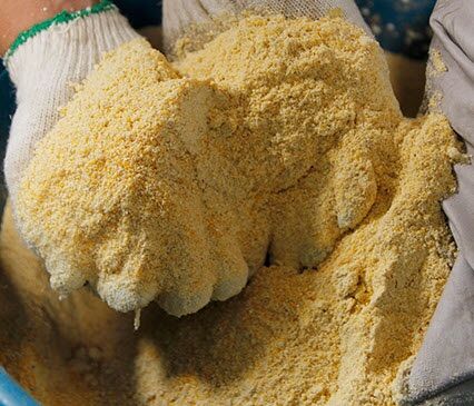 500g Cám bắp dạng nhuyễn cho gà con, chim con( đọc mô tả ạ)