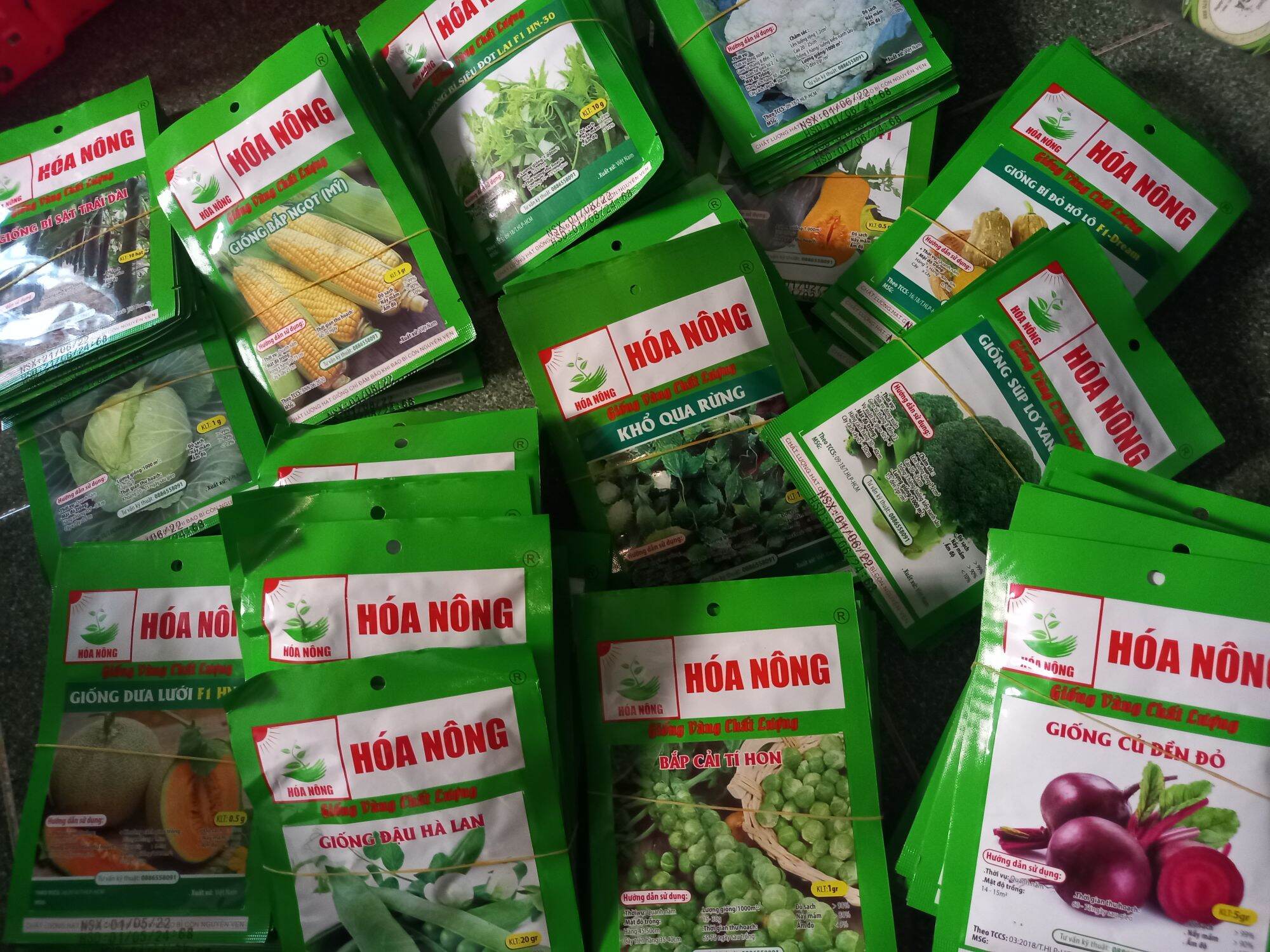 Hạt cà dĩa da ếch quả to