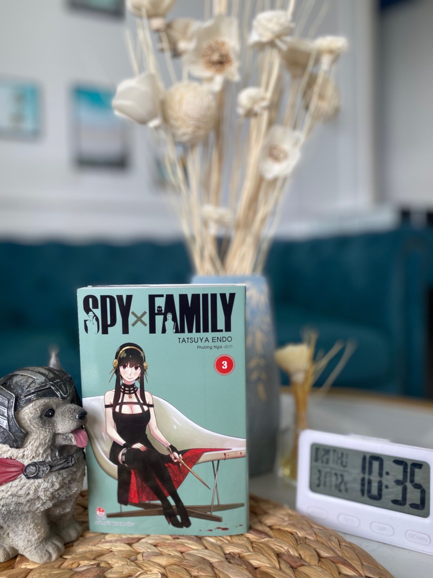 spy x family lẻ