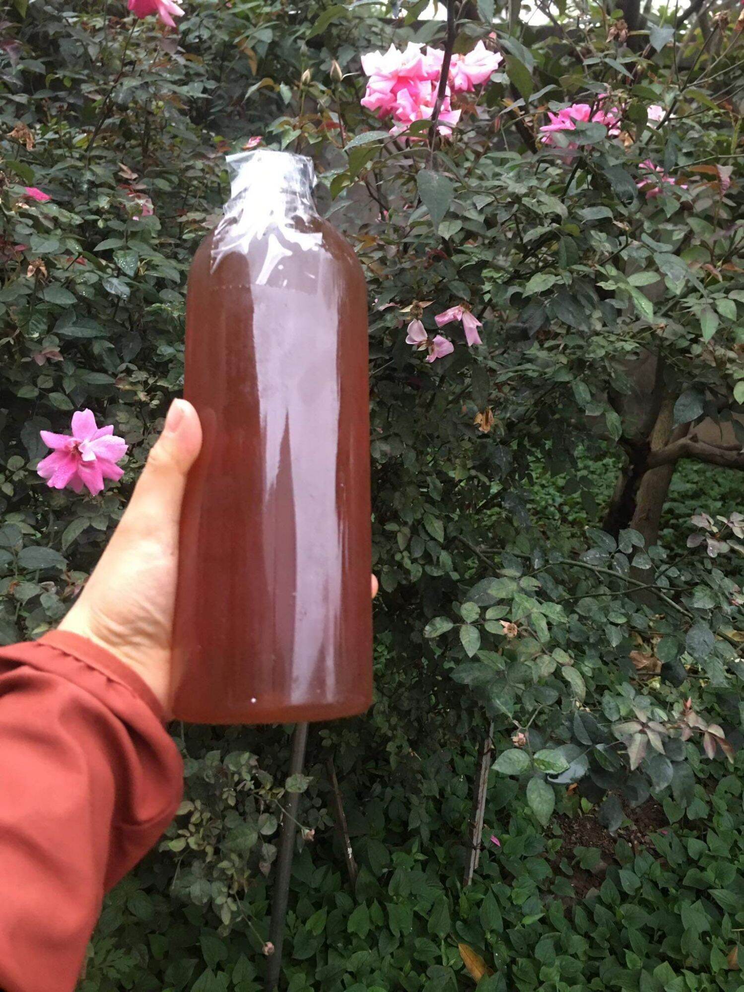 combo 3l mật ong hoa cafe