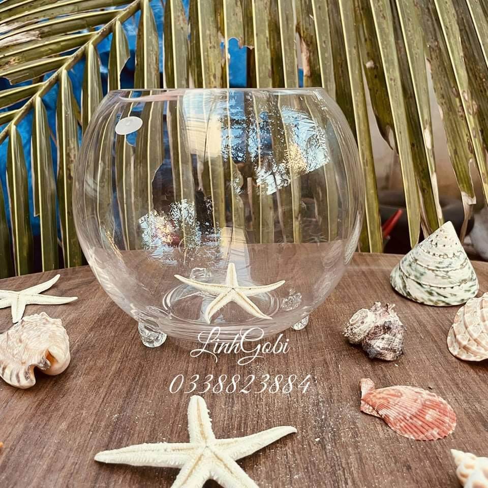 Bể cá thủy tinh CÓ CHÂN mini để bàn miệng răng cưa cỡ 21 cm