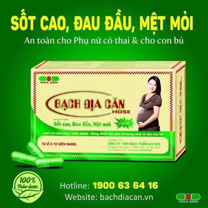 Bạch địa căn- hộp 100 viên