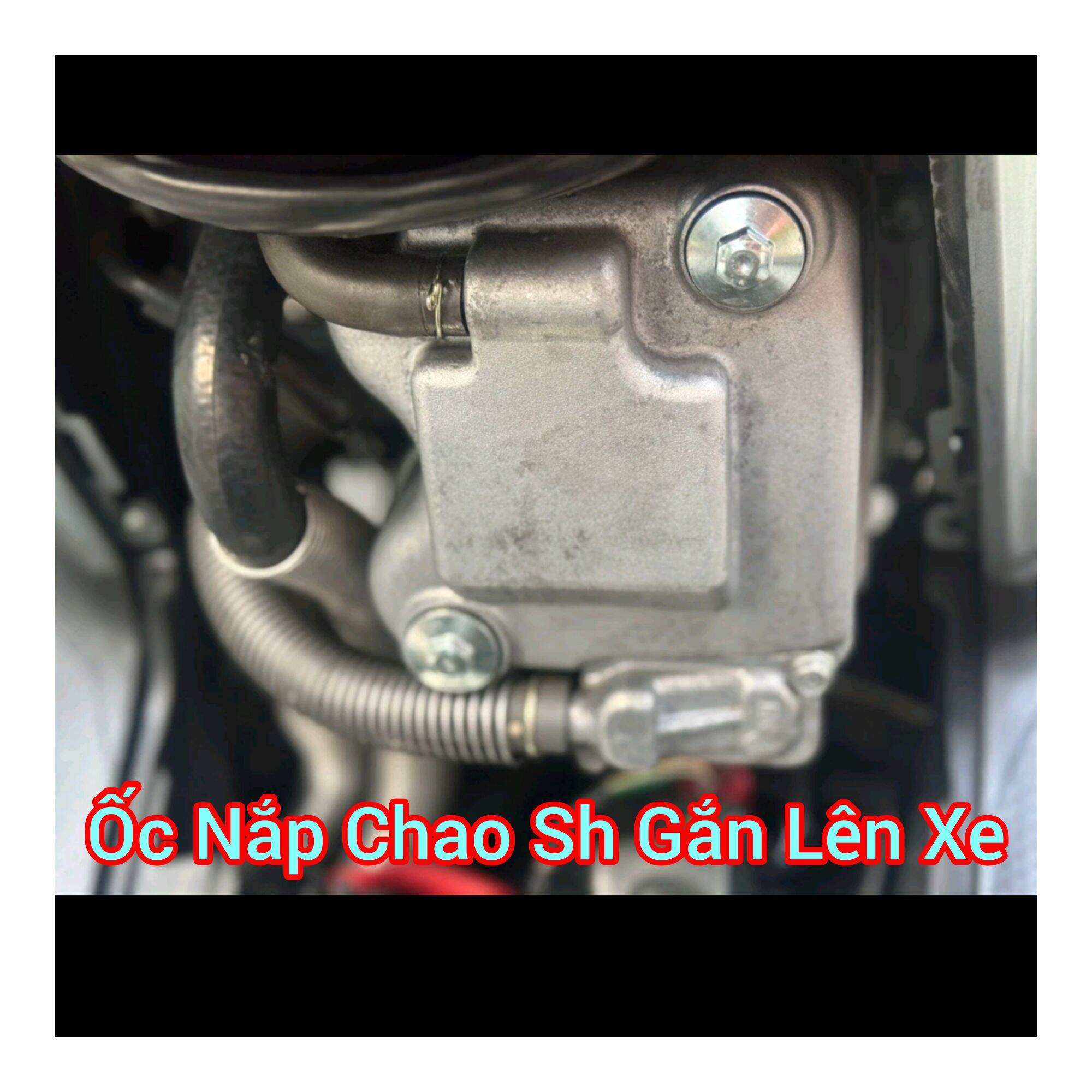 Ốc Nắp Chao : Sh Ý , Dylan , Ps , @