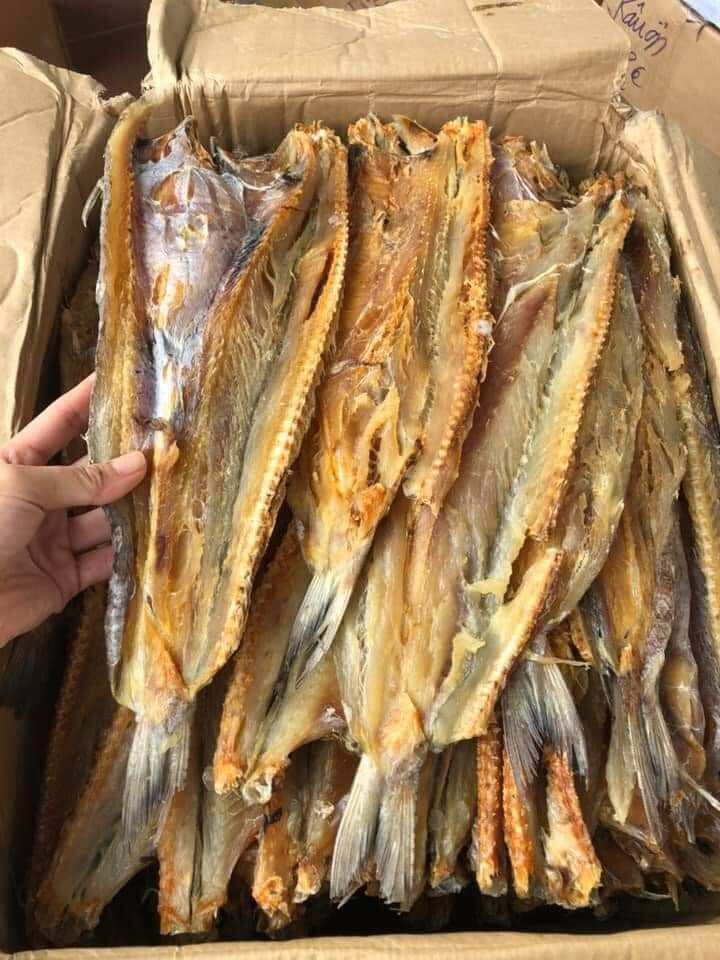 1kg cá mối khô loại ngon