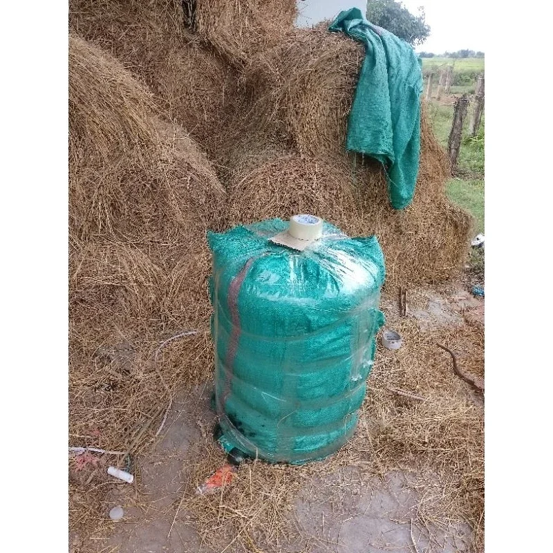 combo 5kg rơm khô