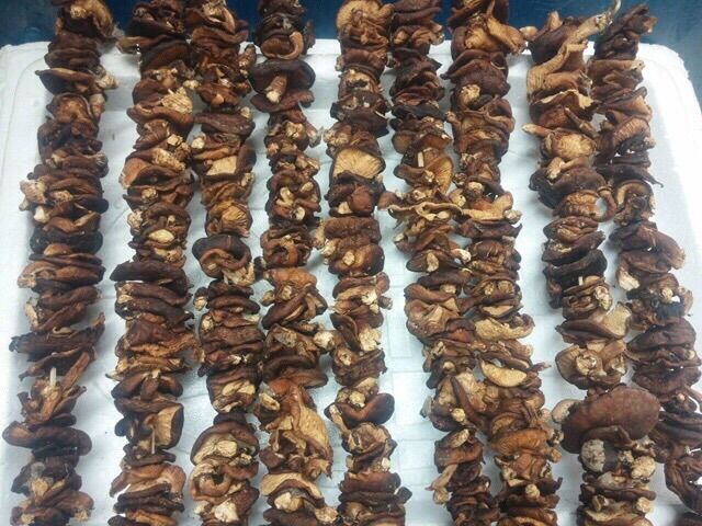 500 gr Nấm Hương Tây Bắc