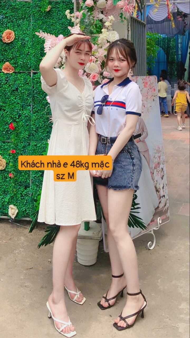 Áo polo tom.my hottrend 2022 kèm ảnh thật