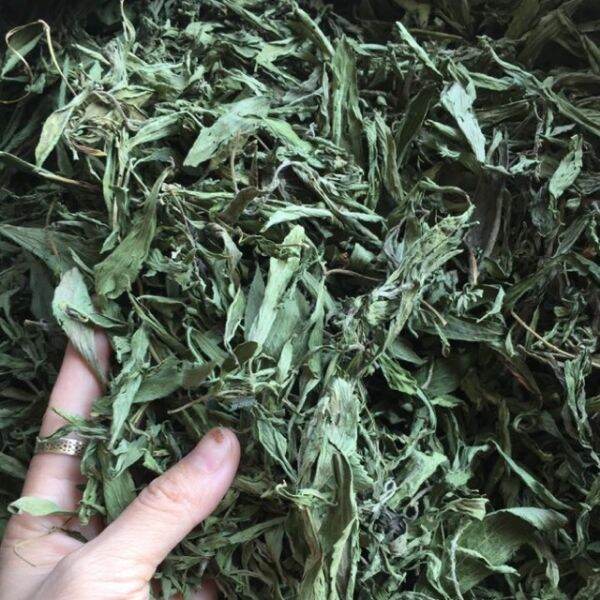 100g trà cỏ ngọt