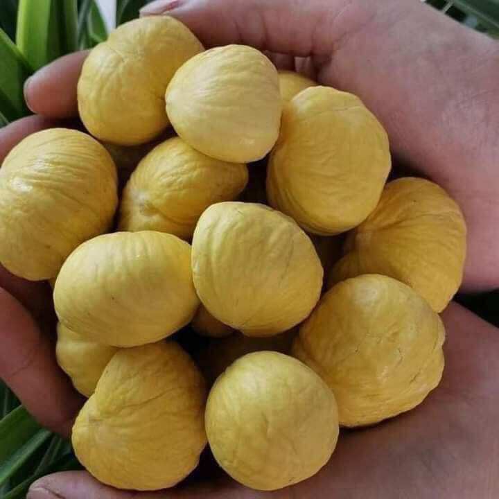 [  1 KÝ _ HẠT DẺ BÓC SẴN ]  tươi ngon bở, mềm