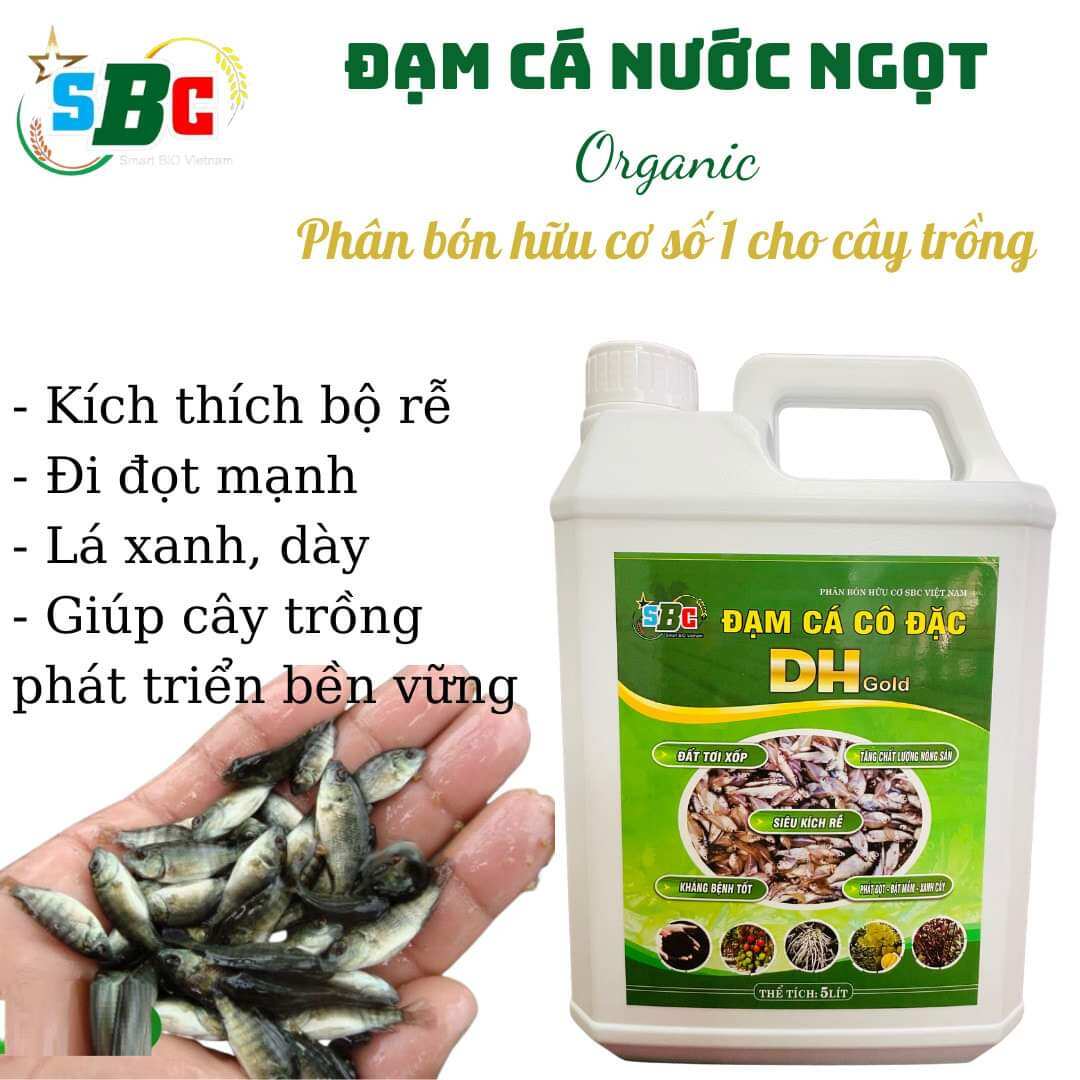 Phân bón đạm cá cô đặc sbc gấp 8 lần phân cá thường