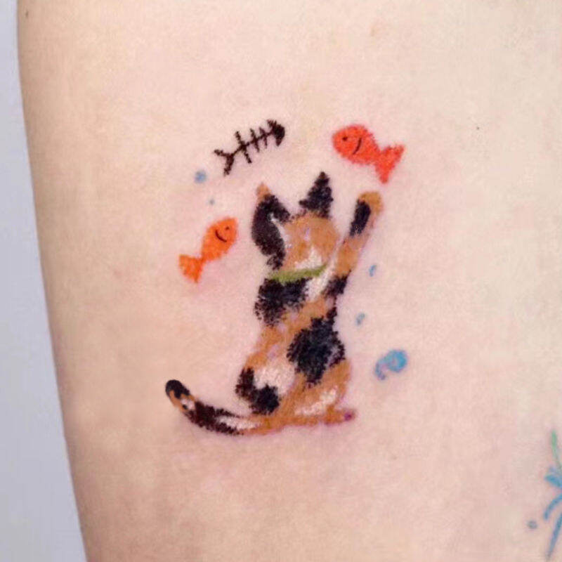 Miếng Dán Hình Mèo Màu Sắc Dễ Thương Chống Thấm Nước Lâu Trôi Hình Mèo Ba Hoa Thích Ăn Cá Thương Hiệ