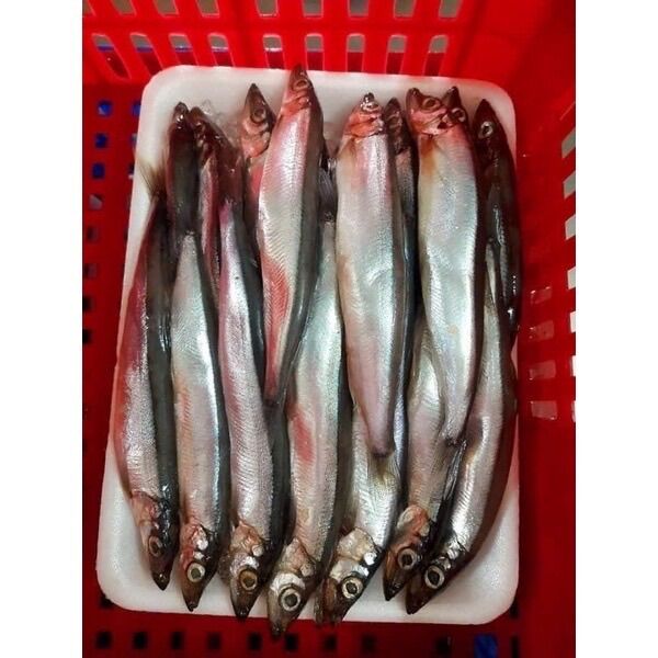 Cá trứng nauy ăn 1 lần là nhớ vĩ 500g
