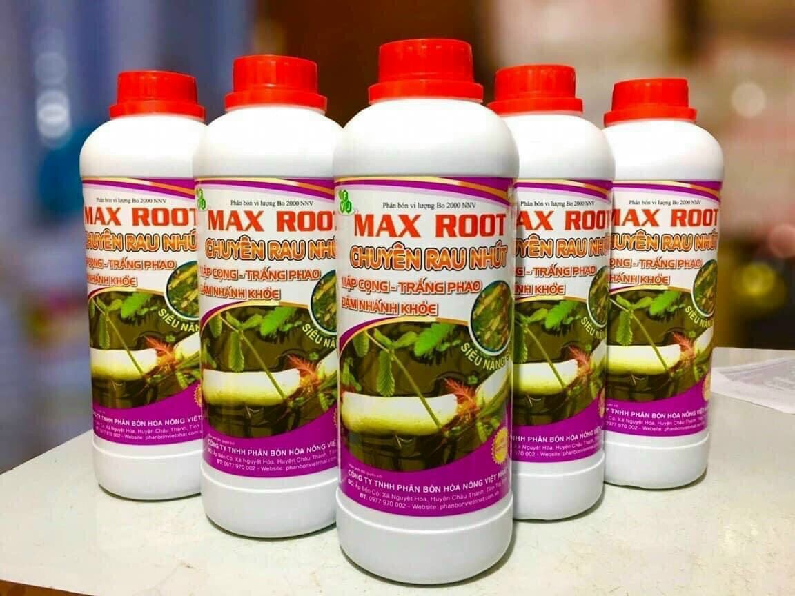 Max Root - chuyên đẻ nhánh rau Nhút