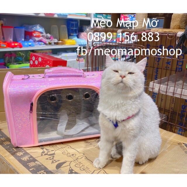 Túi vận chuyển chó, mèo, thú cưng hoạ tiết hologram  dưới 10kg - ảnh sản phẩm 1