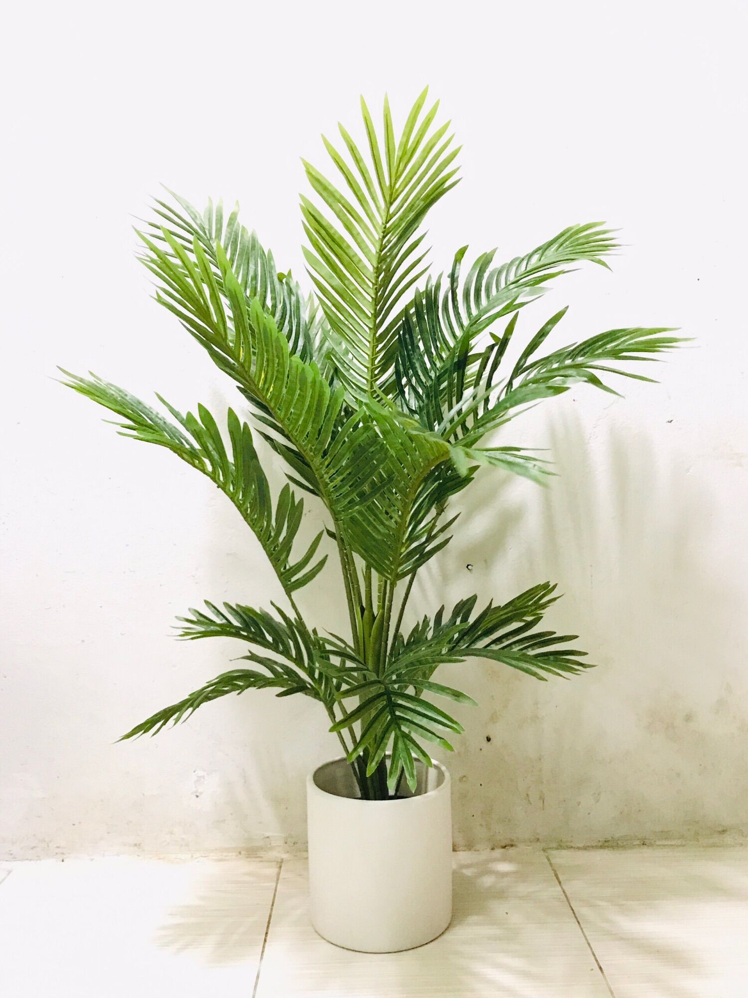Cây giả- cây dừa cảnh giả trang trí 95cm hằng decor