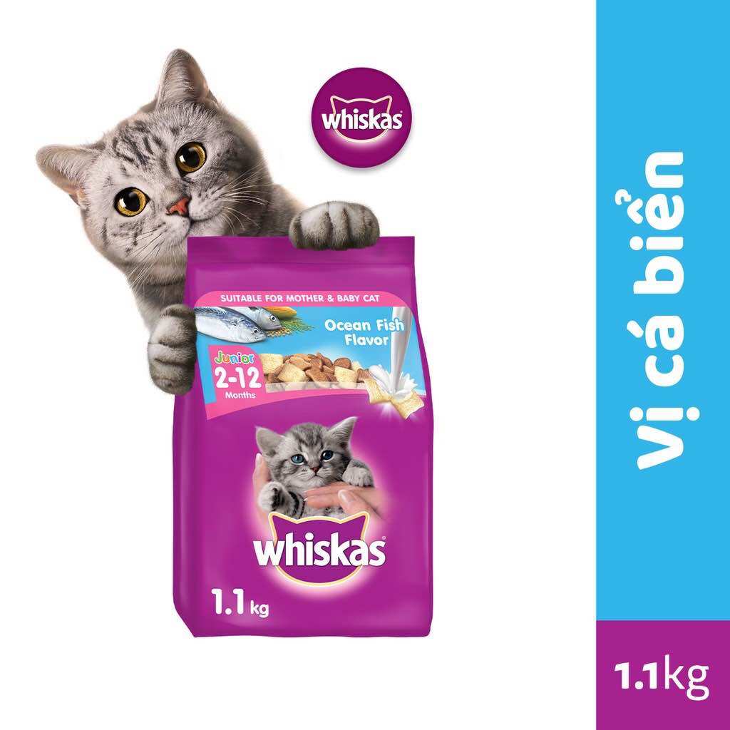 Thức ăn cho mèo con whiskas dạng hạt vị cá biển, 1,1 kg