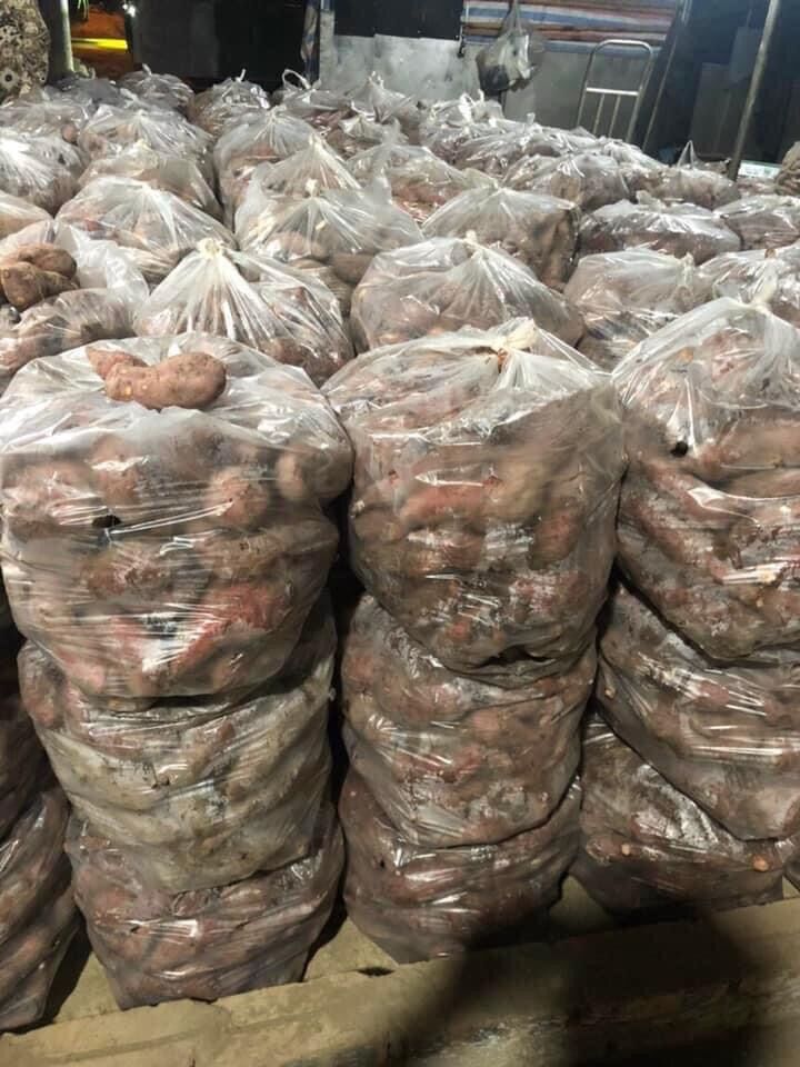 3 kg KHOAI LANG Nhật