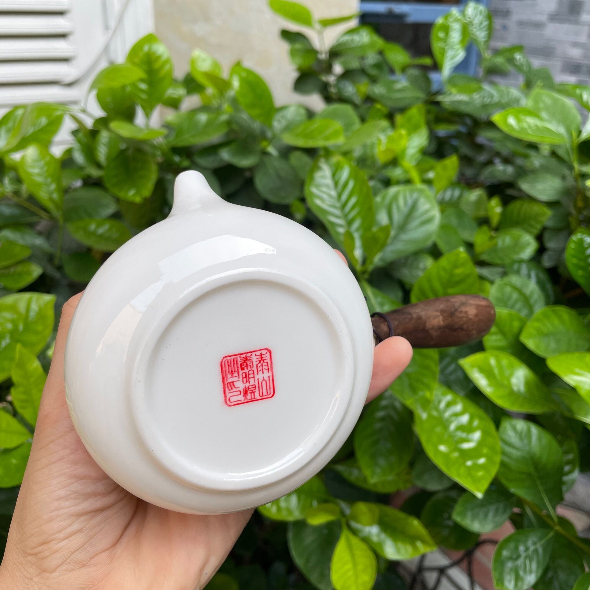 Ấm trà sứ quai gỗ kiểu Nhật - sứ Bạch Định