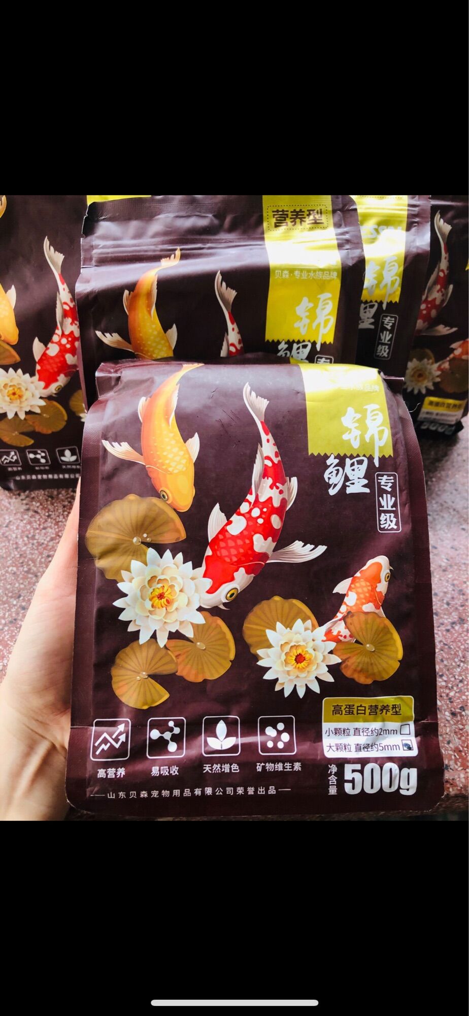 [THỨC ĂN CÁ CẢNH] Thức ăn cá koi loại giúp tăng màu