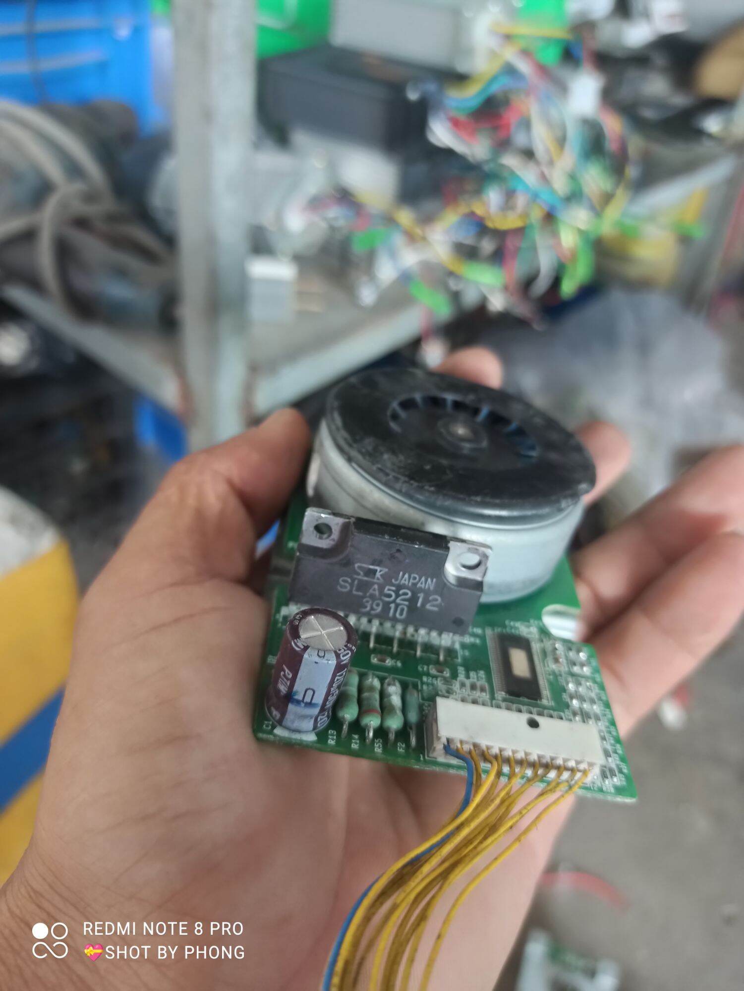 combo 5 motor Brussels cốt 6mm