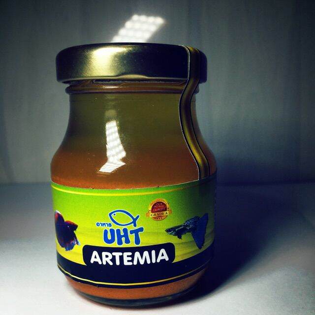 Artemia thanh trùng UHT : thức ăn cá cảnh